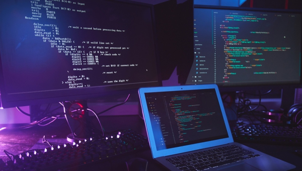 Programmer